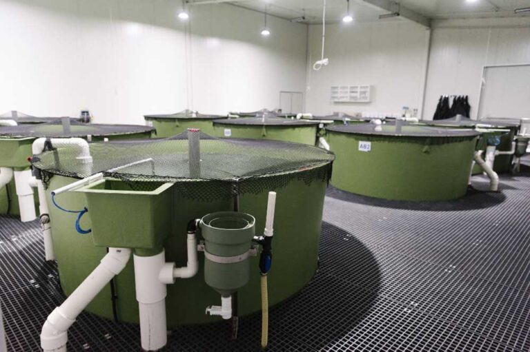 Cawthron Institute Finfish Research Centre, Aquaculture Projects, Fresh by Design