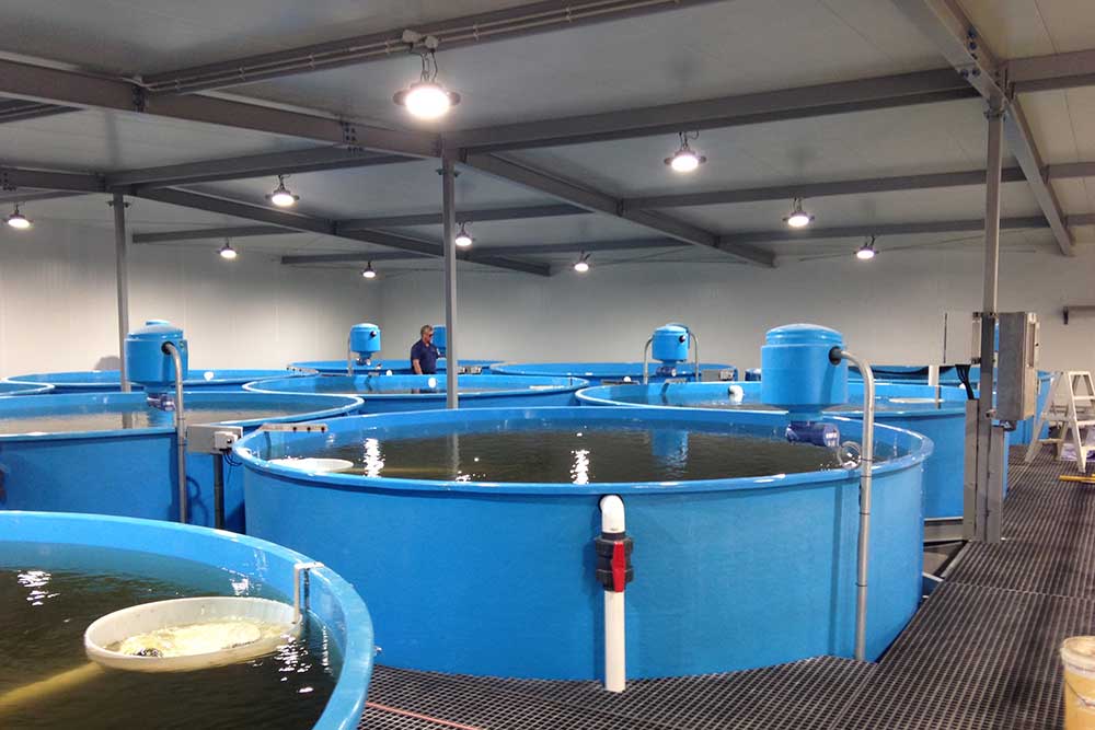Huon Aquaculture – Broodstock Conditioning RAS, Aquaculture Projects, Fresh by Design