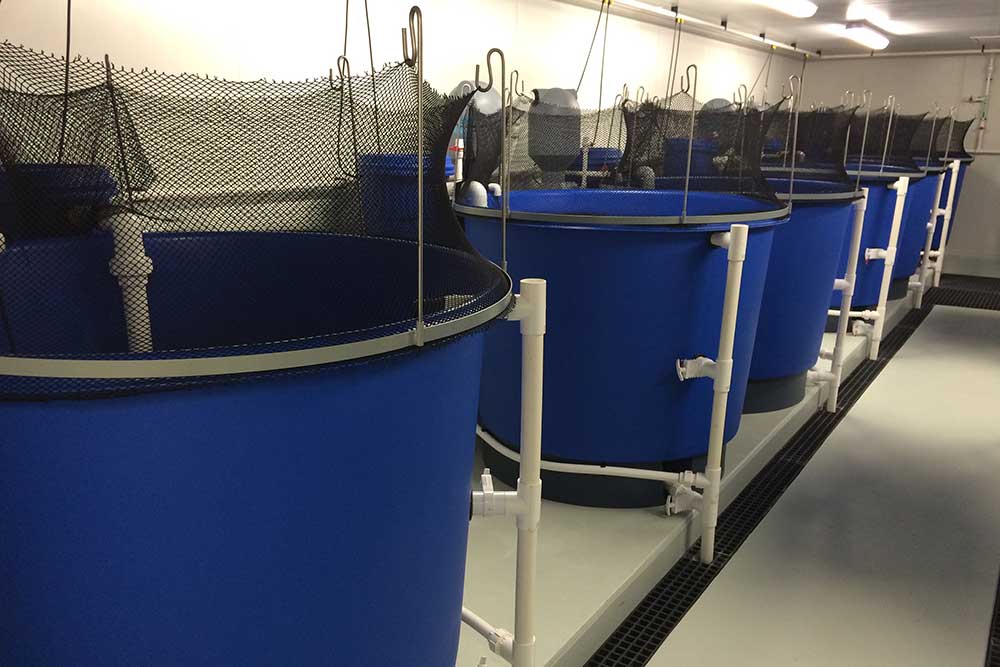 DPIPWE Mount Pleasant – Fish Health Unit, Aquaculture Projects, Fresh by Design