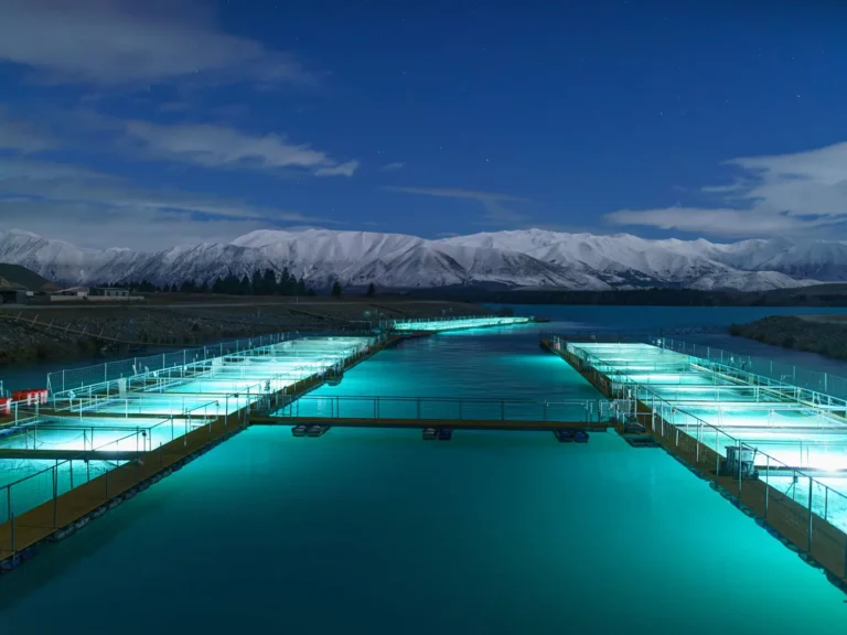 Fresh By Design Appointed Southern Salmon Lights’ Exclusive Distributor for the Australia – New Zealand Region