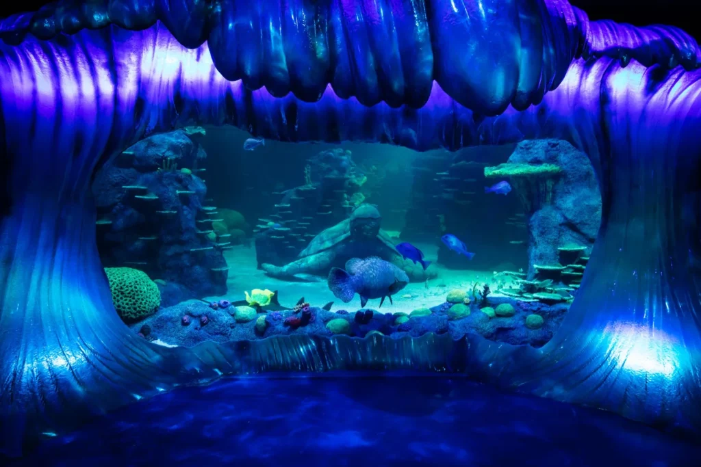 Sydney Aquarium OC4 Oceanarium life support system upgrade
