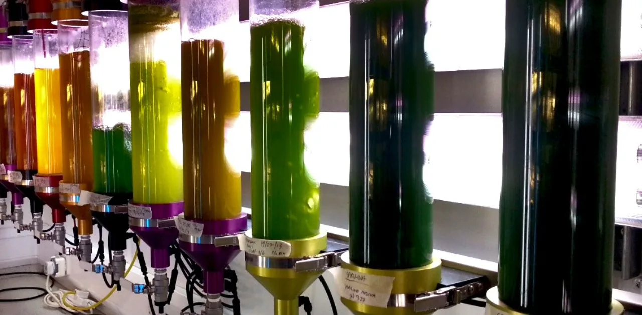 Varicon Aqua Algal Phyco-Bubble & Phyco-Conical